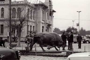 kadikoy-gorseli-018